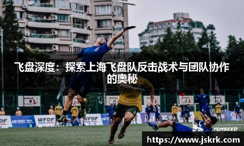 飞盘深度：探索上海飞盘队反击战术与团队协作的奥秘